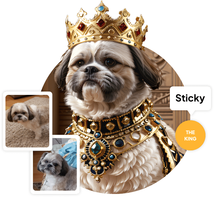 pet portrait sticky the king